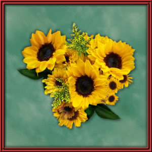 Happy Sunflower (99532)