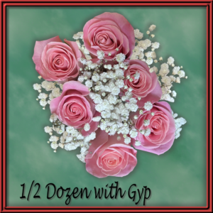 Half Dozen with Gyp (99030)