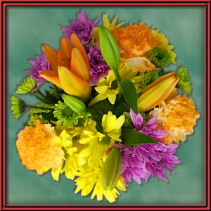 Honey Bees (99524)