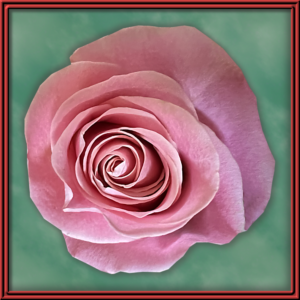 Pink Mondial