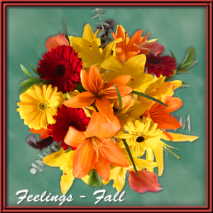 Feelings Fall (99160)
