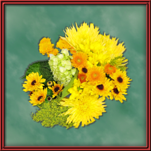 Sunburst (99123)