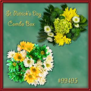 St. Patrick's Day Combo (99495) - Seasonal