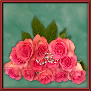 Dozen Roses with Gyp (99036)