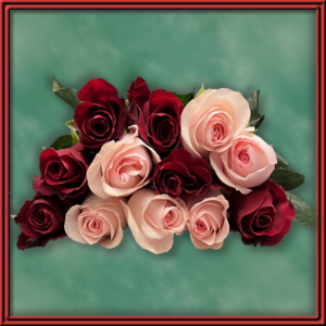 Duet Dozen (99256)