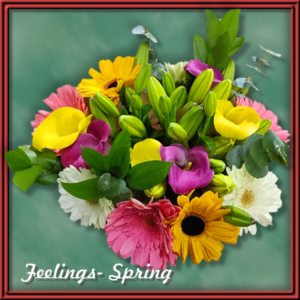 Feelings Spring (99160)