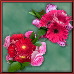 Sweetheart (99546)
