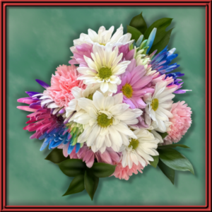 Confetty (99299) - Seasonal