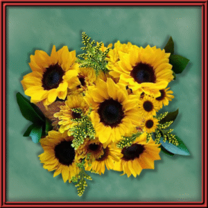 Sunny Days (99520)
