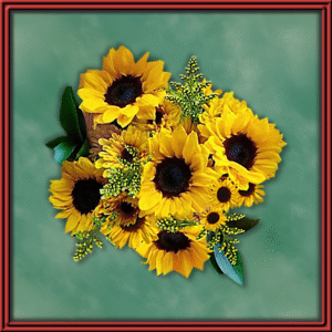 Sunny Days (99520)