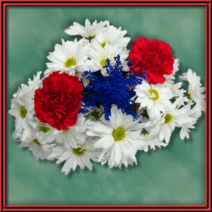 Value Red White Blue (99384) - Seasonal