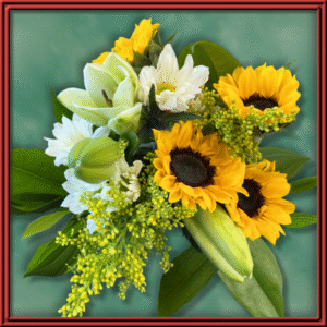 Sunfare (99375) - Seasonal