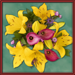 Miranda (98976) - Seasonal