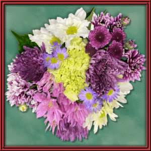 Pastel Passion (99129)