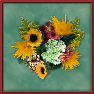 Fall Celebration (99476) - Seasonal