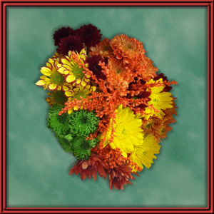 Fall Promo (99498) - Seasonal