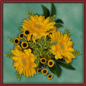 Fiesta Blooms (99737) - Seasonal