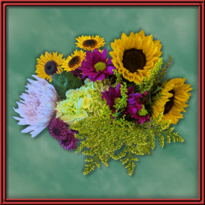 Growers Choice (99122)
