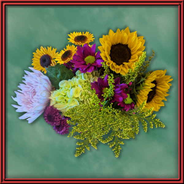 Growers Choice (99122)