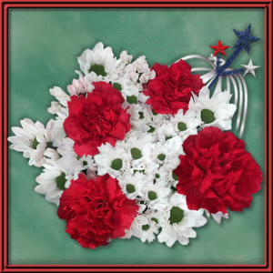 Patriotic (98970) - Seasonal