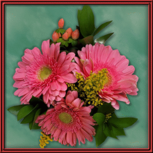 Pink Blessings (99312) - Seasonal