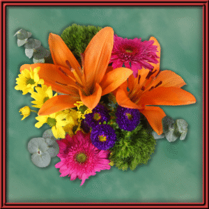 Agata (98971) - Seasonal