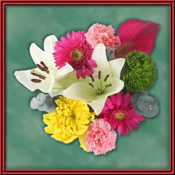 Emma (98973) - Seasonal