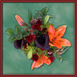 Candela (99265) — Seasonal