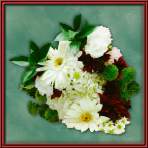 Candy Cane (99395) — Seasonal