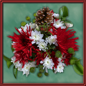 Midnight Blossoms (99205) — Seasonal