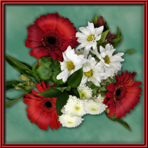 Ruby Christmas (99515) — Seasonal