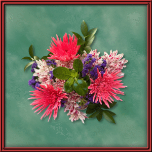 Valentine Confetti (99316) — Seasonal