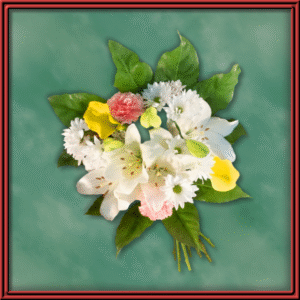 Morning Dew (99202) — Seasonal