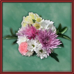 My Valentine (99264) — Seasonal