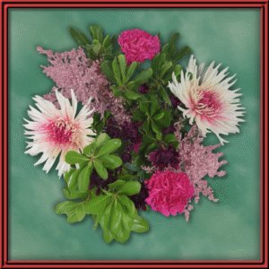 Sweetness (99318) — Seasonal