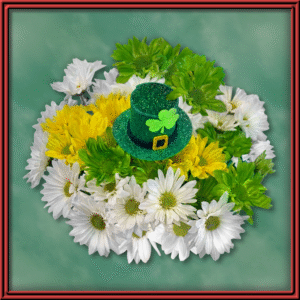Crazy Daisies St Patricks (99495) — Seasonal