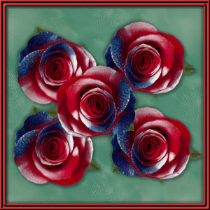 Freedom Sparkle (99587) — Seasonal