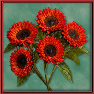 Dyed Sunflowers