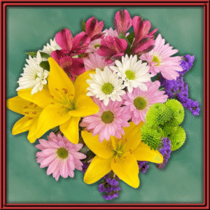 Lily and More (99399)