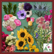 DesignerBoxAG-98967